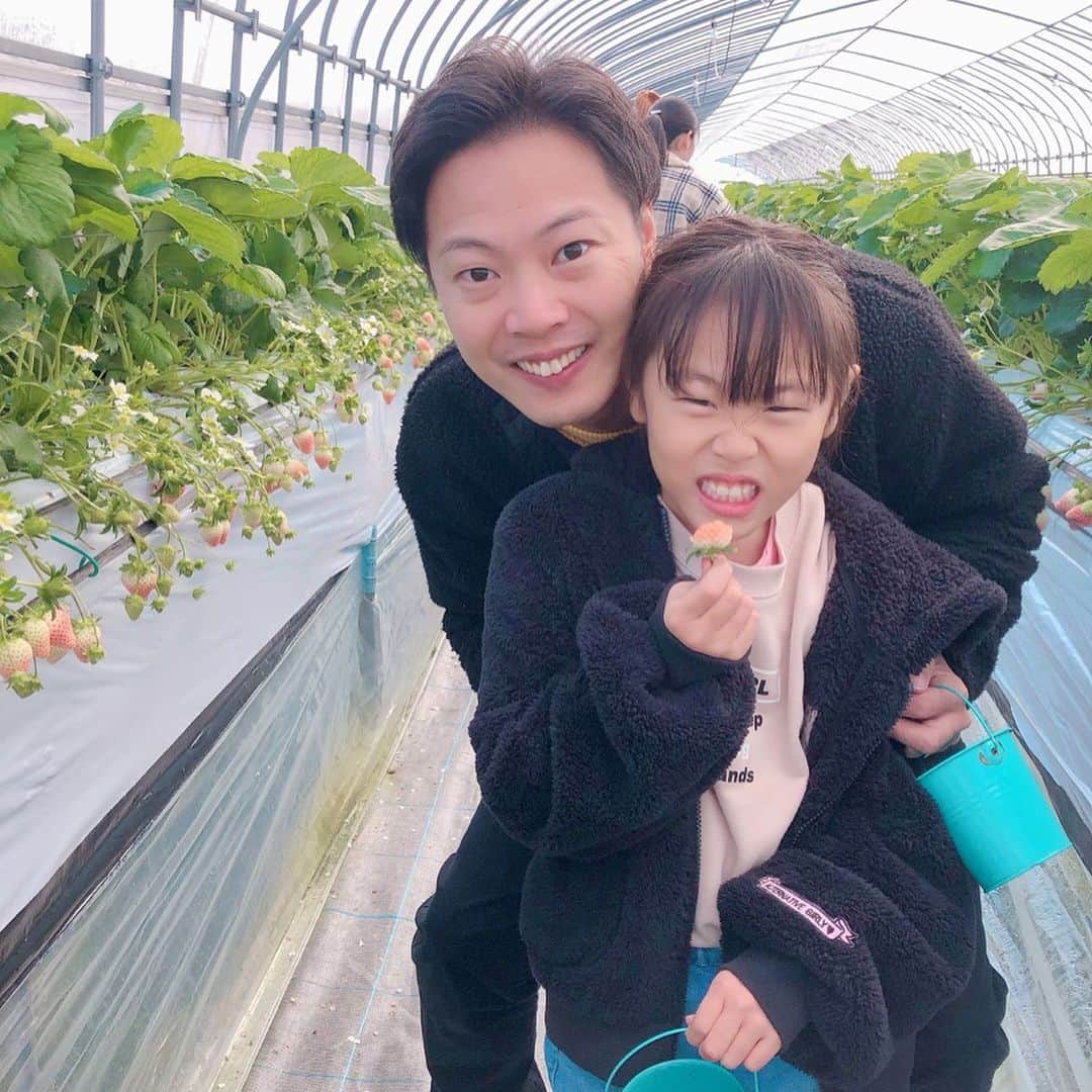 Kikuno Sayumiさんのインスタグラム写真 - (Kikuno SayumiInstagram)「〻family day〻 ・ ・ ・ こないだ#いちご狩り に家族で行ってきたよ！なかなか行けんかったから念願叶った😭✨ ・ 家族でめちゃくちゃ食べた！#白いちご もあって元取った感じ😂 ・ ・ お正月実家に帰った時に初めて#離乳食 をあげた時の動画もキロク🎦 ・ 終始ニコニコで食べてくれた😍 ・ 1人目の時は分量とか測ってたけど今回は本当適当😂最近はおいも🍠もデビューしたよ。 ・ ・ ・ #離乳食デビュー#ファッション#ママ#プチプラコーデ#lucrajp#mamagirl#ママリ#ママリファッション#locari#お洒落さんと繋がりたい#ママコーデ#令和ベイビー#男の子ママ#生後5ヶ月#コドモノ#赤ちゃんのいる生活#赤ちゃん#成長記録#5ヶ月ベビー#UNIQLO#🍓#🍓狩り#帰省#愛媛#家族写真#オン眉ショート」1月14日 9時49分 - sayumikikuno