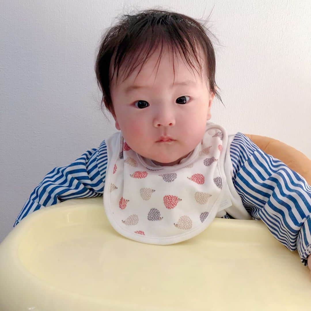 Kikuno Sayumiさんのインスタグラム写真 - (Kikuno SayumiInstagram)「〻family day〻 ・ ・ ・ こないだ#いちご狩り に家族で行ってきたよ！なかなか行けんかったから念願叶った😭✨ ・ 家族でめちゃくちゃ食べた！#白いちご もあって元取った感じ😂 ・ ・ お正月実家に帰った時に初めて#離乳食 をあげた時の動画もキロク🎦 ・ 終始ニコニコで食べてくれた😍 ・ 1人目の時は分量とか測ってたけど今回は本当適当😂最近はおいも🍠もデビューしたよ。 ・ ・ ・ #離乳食デビュー#ファッション#ママ#プチプラコーデ#lucrajp#mamagirl#ママリ#ママリファッション#locari#お洒落さんと繋がりたい#ママコーデ#令和ベイビー#男の子ママ#生後5ヶ月#コドモノ#赤ちゃんのいる生活#赤ちゃん#成長記録#5ヶ月ベビー#UNIQLO#🍓#🍓狩り#帰省#愛媛#家族写真#オン眉ショート」1月14日 9時49分 - sayumikikuno