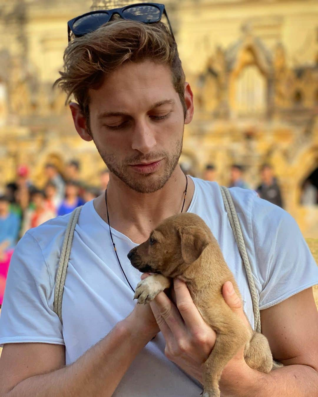 マックス・エマーソンさんのインスタグラム写真 - (マックス・エマーソンInstagram)「**frantically googles “how to smuggle puppies into America”** 📸 @abraminmotion」1月14日 1時16分 - maxisms