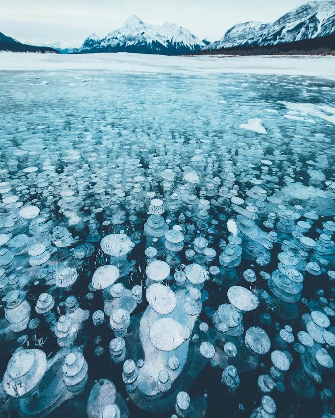 Earth Picsさんのインスタグラム写真 - (Earth PicsInstagram)「Frozen bubbles in Abraham Lake in Alberta, Canada. The bubbles are formed as methane gas rises and gets trapped in the ice as the lake freezes over photo by @lennart」1月14日 2時45分 - earthpix