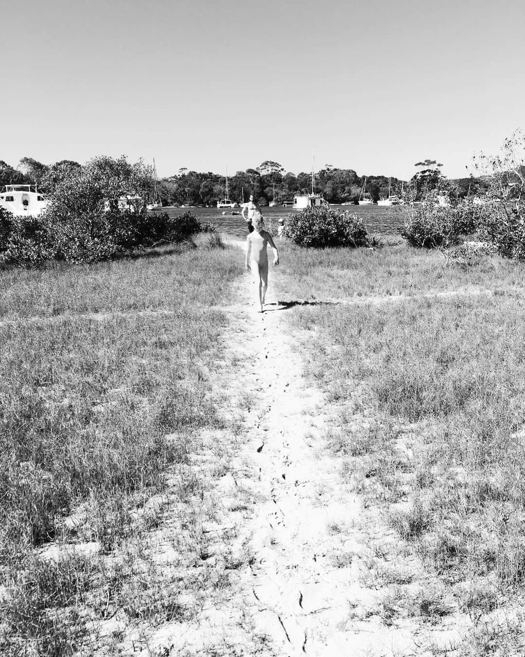 ジャシンダ・バレットのインスタグラム：「Home  @wireswildliferescue @wwf @wwfaustralia  #Bushfireemergency #nswrfs #wireswildliferescue #climatevisionaries #ausfires #globalwarming #ourhouseisonefire #natgeo @greenpeace@natgeo」