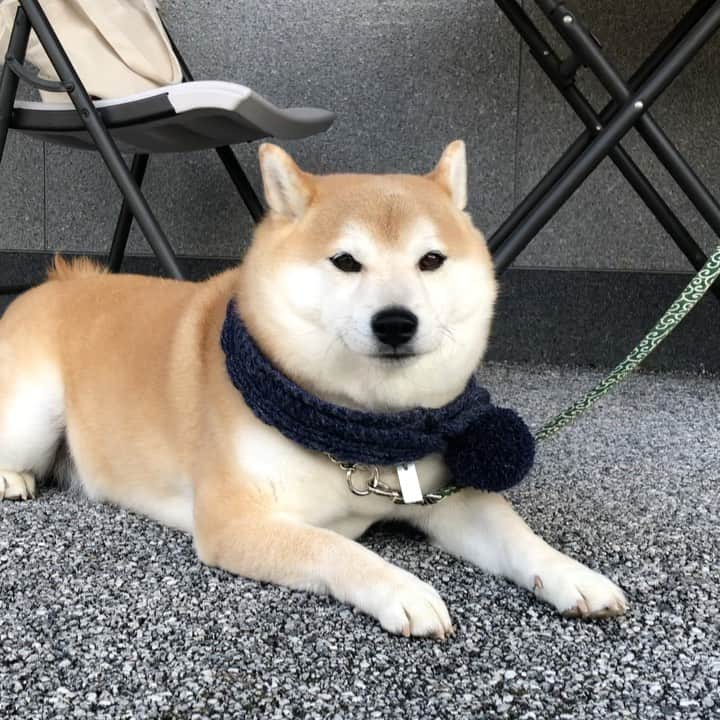 豆助左衛門（まめすけざえもん）のグルメインスタ