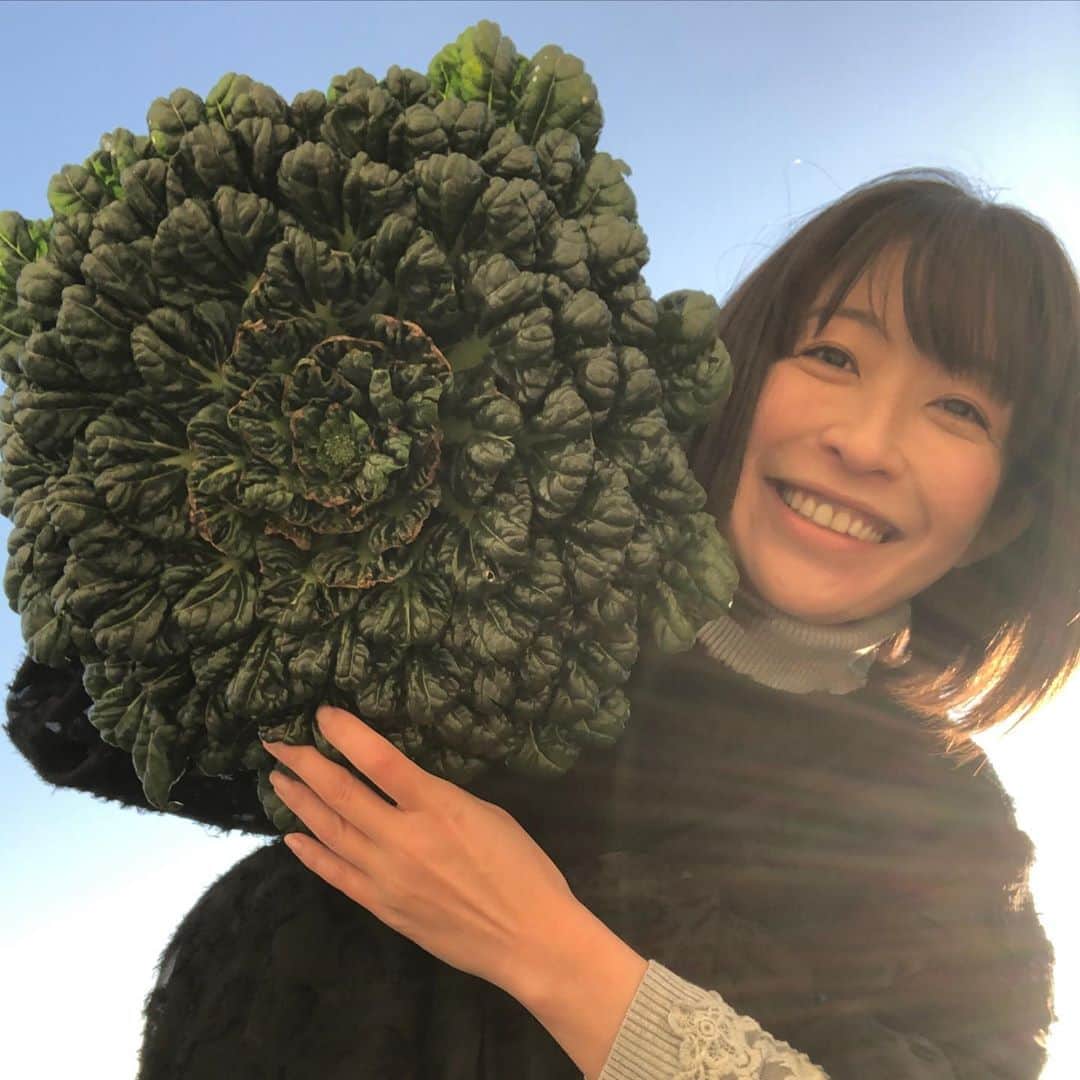小野真弓のインスタグラム