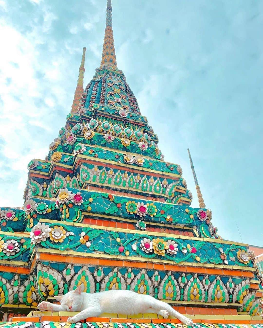 タイ国政府観光庁さんのインスタグラム写真 - (タイ国政府観光庁Instagram)「・﻿ ＼🇹🇭サワッディー・カー🇹🇭／﻿ ﻿ 今週の #こんなタイ知らなかった は、﻿ バンコクにあるタイ・マッサージで有名な王宮寺院「ワット･ポー」でお昼寝中の猫をパチリ📸✨﻿ ﻿ 実は「ワット･ポー」は、猫が多いお寺としても有名🐱﻿ ﻿ 猫好きな方は、観光ついでに猫と戯れるのも◎🙆‍♂‍💕﻿ ﻿ @moliyanyuan さん、コップン・カー🙏✨﻿ ﻿ ・・・・・・・﻿ 今まで知らなかったタイの魅力を見つけたら、ハッシュタグ #こんなタイ知らなかった をつけて投稿して下さい🌸﻿ ﻿ こちらでご紹介させて頂くことがあります。皆さまからの投稿をお待ちしています😊﻿ ﻿ #repost #タイ #バンコク #ワットポー #タイ寺院 #お寺巡り #インスタ映え  #フォトジェニック #こんなタイ知らなかった #もっと知りタイ  #タイ旅行 #バンコク旅行 #猫 #猫のいる暮らし#猫との暮らし #猫好きさんと繋がりたい #thailand #bangkok  #watpho #temple #thaistagram #amazingthailand #thailandtravel #thailandtrip #thai #genic_thailand #lovethailand #girlstrip #tabijyomap_thailand」1月14日 19時22分 - amazingthailandjp