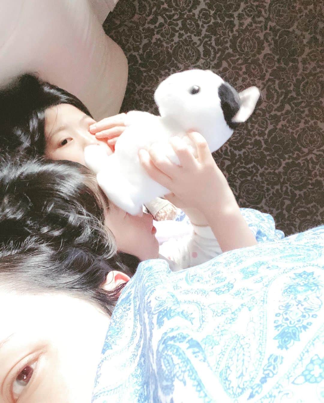 緒月遠麻さんのインスタグラム写真 - (緒月遠麻Instagram)「☺︎ 1人で眠りにつき 朝起きたら2人増えてた。  #かわいい #同期子供  ありがとうございます モーニング添い寝。笑」1月14日 18時23分 - toma_ozuki
