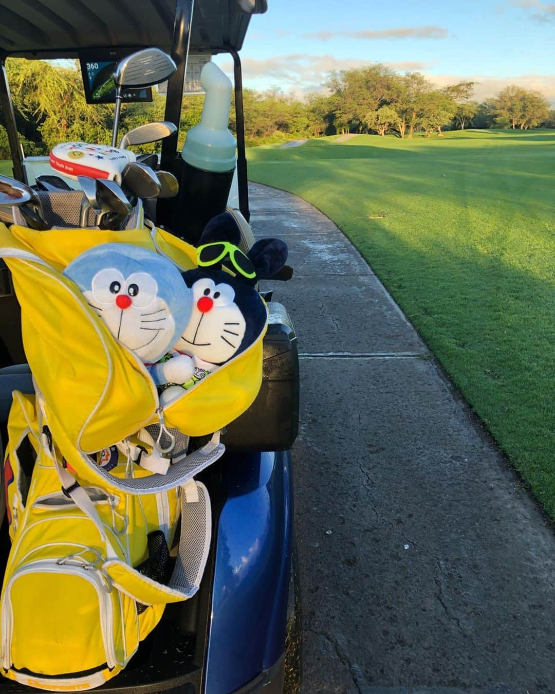 橋本真依さんのインスタグラム写真 - (橋本真依Instagram)「・﻿ ハワイゴルフ⛳️最終日！﻿ これでハワイ合宿の投稿はおしまいです🌴﻿ ﻿ この日は「#エバビーチゴルフクラブ 」﻿ ﻿ コオリナに比べて狭い印象があります✨﻿ 後半のパー3はグリーンから綺麗なハワイっぽい景色が！バーディチャンスを外しました💦笑﻿ ﻿ ﻿ そして今回初のレインボー🌈🌈🌺☀️﻿ ハワイで虹を見るとまたハワイに来られるという﻿ ジンクスがあります。﻿ 最後の最後に見られてよかった💗﻿ ﻿ のと、レディースのところで大きくかかりました🌈﻿ ﻿ レインボーショット‼️﻿ これには感動しました💗🥺﻿ ﻿ ﻿ そしてワイキキで毎週行なわれている花火🎆﻿ ここまで近くで見たのも初めて💗﻿ 充実した年末ハワイ合宿でした✨﻿ ﻿ ﻿ ﻿ ﻿ ﻿ #女子力ねーさん#ハワイ#ハワイゴルフ#ゴルフ女子﻿ #happy#smile#love#peace#lucky#tbt#l4l#followme#followback#instagood#hawaii#swimwear#hawaii#hawaiilife#hawaiistagram#hawaiian#aloha#mahalo#waikiki#beach#sea#beautiful#bikini#golf#golfswing#hawaiigolf」1月14日 18時55分 - hashimotomai430