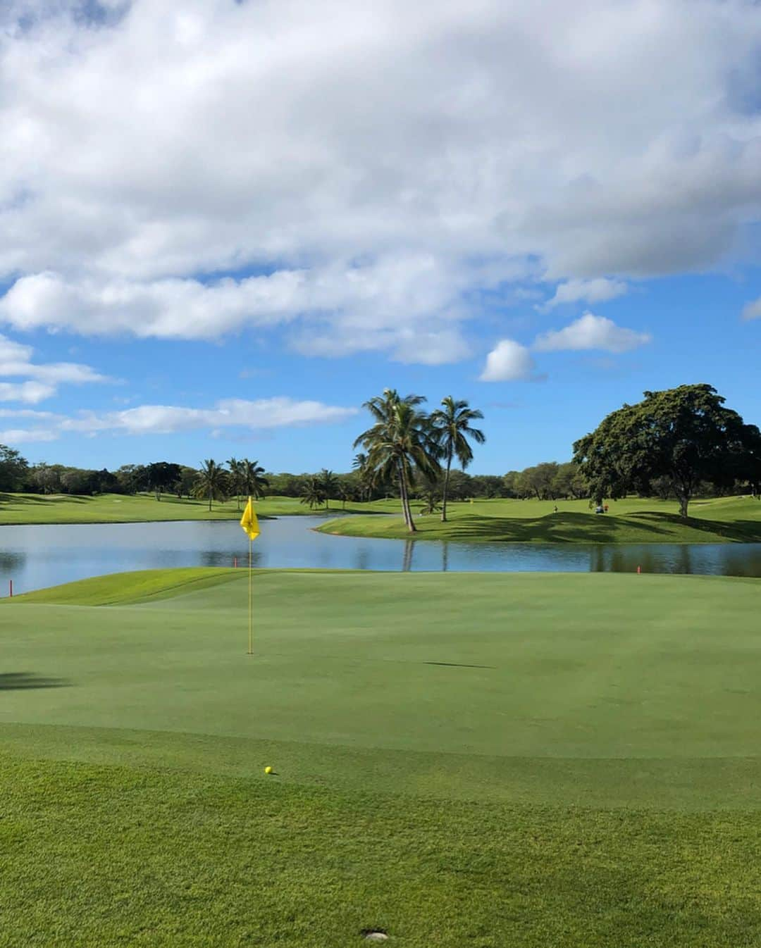 橋本真依さんのインスタグラム写真 - (橋本真依Instagram)「・﻿ ハワイゴルフ⛳️最終日！﻿ これでハワイ合宿の投稿はおしまいです🌴﻿ ﻿ この日は「#エバビーチゴルフクラブ 」﻿ ﻿ コオリナに比べて狭い印象があります✨﻿ 後半のパー3はグリーンから綺麗なハワイっぽい景色が！バーディチャンスを外しました💦笑﻿ ﻿ ﻿ そして今回初のレインボー🌈🌈🌺☀️﻿ ハワイで虹を見るとまたハワイに来られるという﻿ ジンクスがあります。﻿ 最後の最後に見られてよかった💗﻿ ﻿ のと、レディースのところで大きくかかりました🌈﻿ ﻿ レインボーショット‼️﻿ これには感動しました💗🥺﻿ ﻿ ﻿ そしてワイキキで毎週行なわれている花火🎆﻿ ここまで近くで見たのも初めて💗﻿ 充実した年末ハワイ合宿でした✨﻿ ﻿ ﻿ ﻿ ﻿ ﻿ #女子力ねーさん#ハワイ#ハワイゴルフ#ゴルフ女子﻿ #happy#smile#love#peace#lucky#tbt#l4l#followme#followback#instagood#hawaii#swimwear#hawaii#hawaiilife#hawaiistagram#hawaiian#aloha#mahalo#waikiki#beach#sea#beautiful#bikini#golf#golfswing#hawaiigolf」1月14日 18時55分 - hashimotomai430