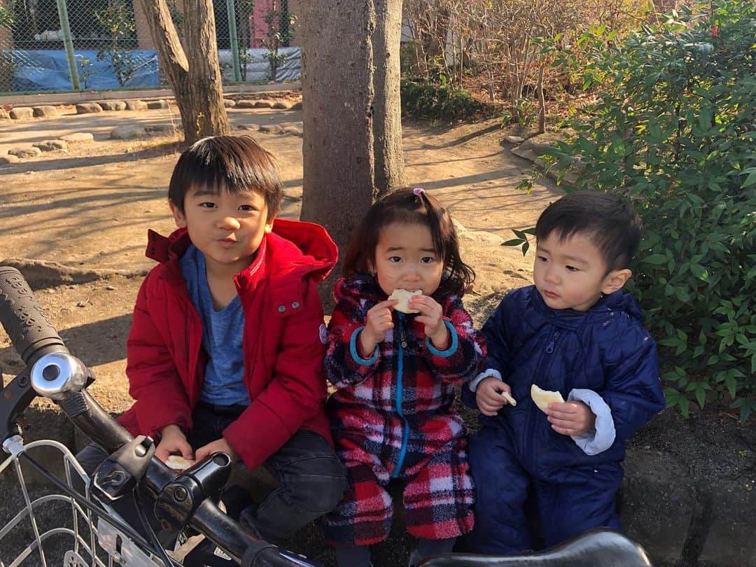 佐藤飛鳥さんのインスタグラム写真 - (佐藤飛鳥Instagram)「やたらと大人びた顔してきた、もうすぐ5歳のちむ🤚 赤ちゃんの時より育児悩みが増えてる気がする🥺 #3兄妹#兄と双子#3児育児#3児ママ#双子#双子ママ#双子育児#二卵性#二卵性双子#二卵性双生児#男女双子#ミックスツインズ」1月14日 19時13分 - s_asuka1278