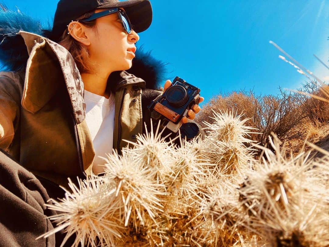のインスタグラム：「ちゃいちーのサボテンもいたよ🌵 #cactus #joshuatreenationalpark」