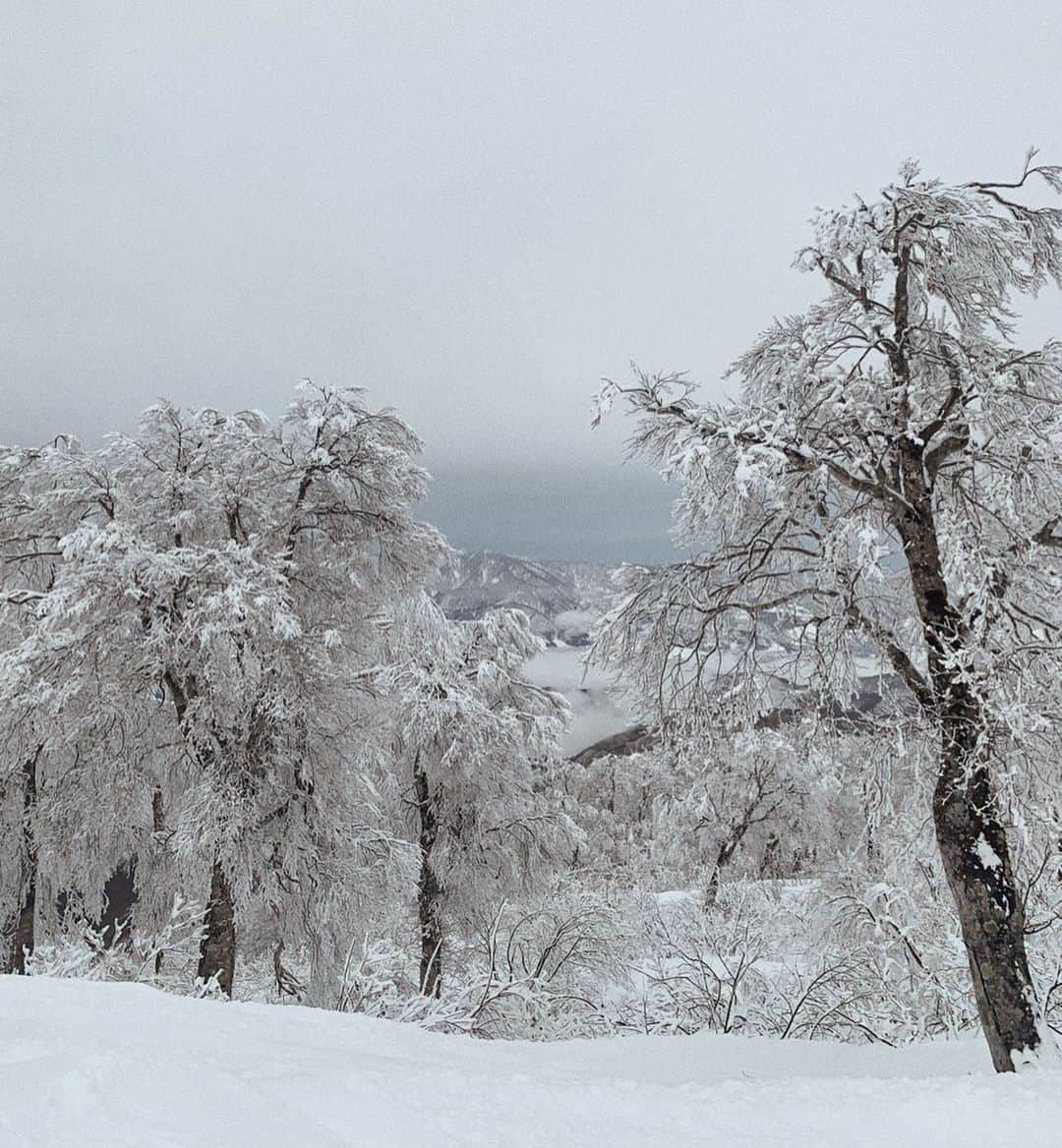 栗山遥さんのインスタグラム写真 - (栗山遥Instagram)「今年も🏂🌅 帰りの車から素敵な色の富士山が見えました。🕊」1月14日 12時28分 - harukakuriyama