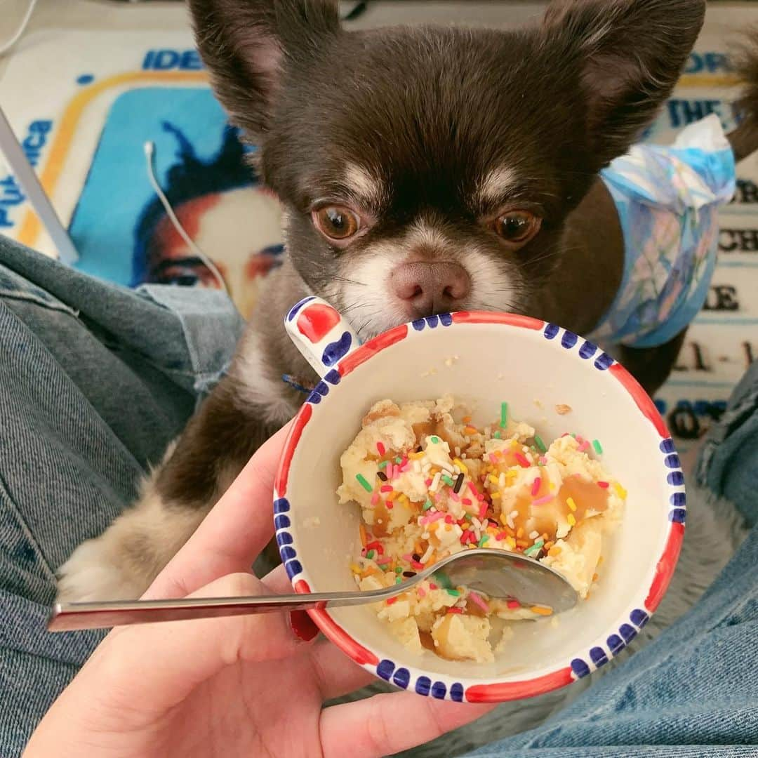 矢部ユウナさんのインスタグラム写真 - (矢部ユウナInstagram)「🐶💞🍨」1月14日 13時13分 - yunaaay1030