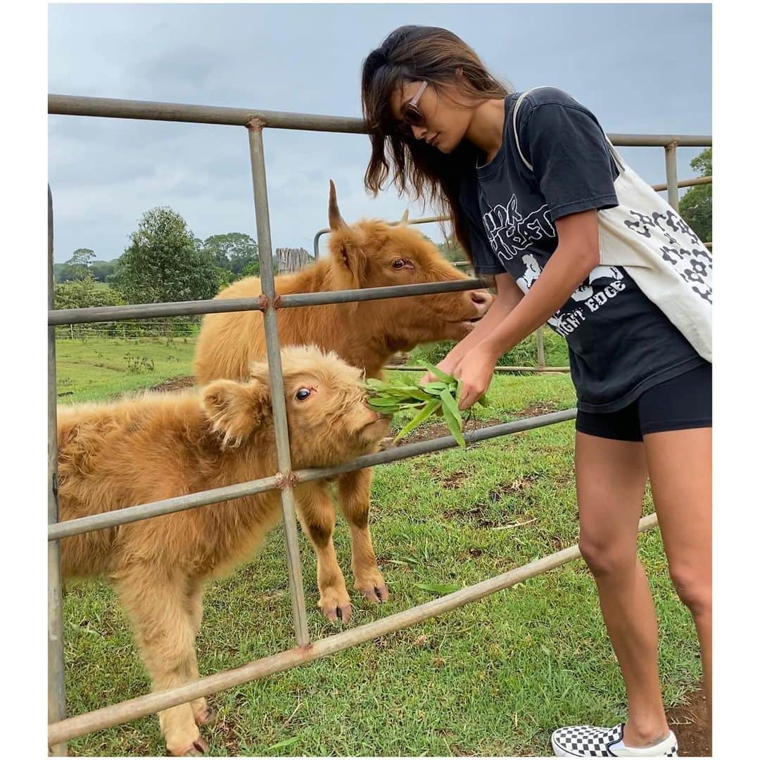 ジェラ・マリアーノさんのインスタグラム写真 - (ジェラ・マリアーノInstagram)「For the past 18 years I’ve gone from being pescatarian for a couple years, to being meat-eating again a couple years, then back to meatless & forth, etc. Past few months I’ve been pescatarian again & plan to finally commit to staying here for some time. I do it for our environment, animal rights & also for my health. I went through that cyclical pattern of eating meat some years & not others simply because I felt like my body was telling me to do these changes so I just went with it. I know it’s not vegan, but removing livestock agriculture (meats, beef, poultry, pork) & products derived from them, makes a big difference in itself. I also try to be selective & aware of even where my fish/shellfish are sourced from, as well as all my other foods/products. It’s hard to always know where things come from & what they contain, especially when you travel & come across the unfamiliar, or live in areas where it’s difficult to obtain ideal items. But as long as you try your best to be aware & informed, & hopefully make the most sustainable choices possible, I think that’s a great starting point in the right direction for everything connected💞🌎♻️」1月14日 13時31分 - jarahm