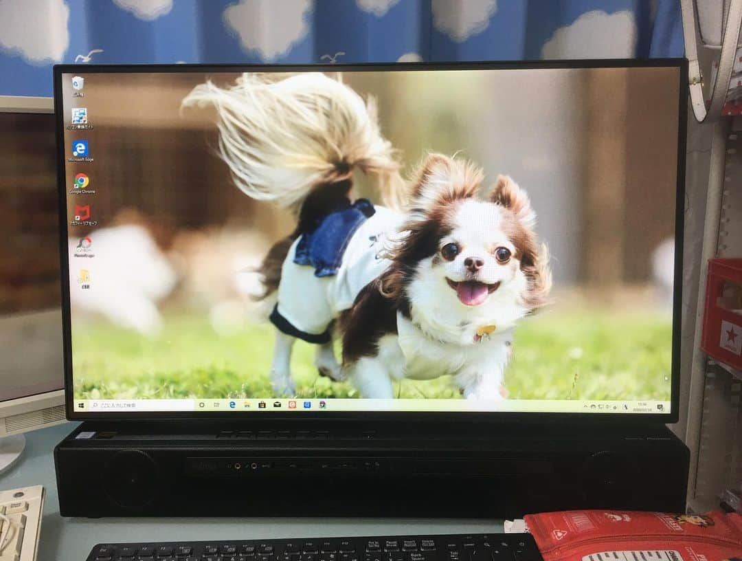 犬小屋??さんのインスタグラム写真 - (犬小屋??Instagram)「今日からお世話になるWindows10🖥 電源🔌入れると、せれが笑顔で迎えてくれる🥰  #犬小屋 #canon  #canon_photos  #ちわわなしでは生きていけません会  #チワワ大好き  #chihuahua  #windows10  #デスクトップ #せれすたぐらむ #ファインダー越しの私の世界  #ロングコートチワワ  #チョコホワイトチワワ  #cutydog #dogstagram  #chihuahualove」1月14日 13時57分 - tiwa1109