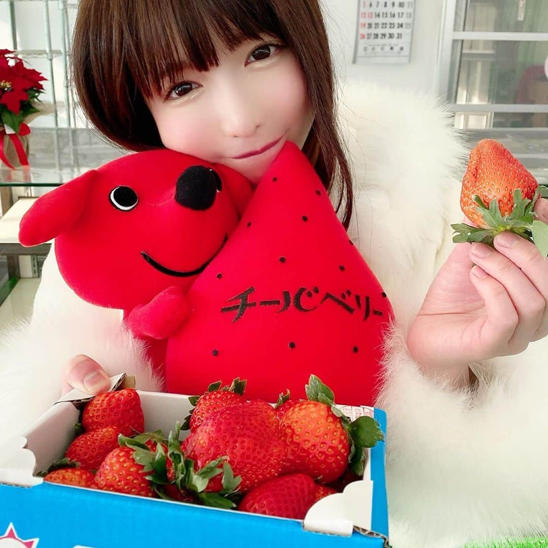 もえのあずきさんのインスタグラム写真 - (もえのあずきInstagram)「明日は 🍓ちばいちごフェスタ2020🍓 メインMCで出るよ💕 イオンモールむさし村山さんでまってるね💕💕 「ちばいちごフェア2020」1/15～2/29まで開催🍓💕 くわしくは @chibaloveichigo  #ちばいちごフェスタ2020 #ちばいちごフェア2020 #いちご #イチゴ #千葉県 #千葉 #ちば #チーバくん #チーバベリー #紅ほっぺ #とちおとめ #章姫 #女峰 #真紅の美鈴 #試食 #試食会 #プレゼント #キャンペーン #フェア #イオンモール #スイーツ #特産品#pr」1月14日 14時22分 - moeazukitty