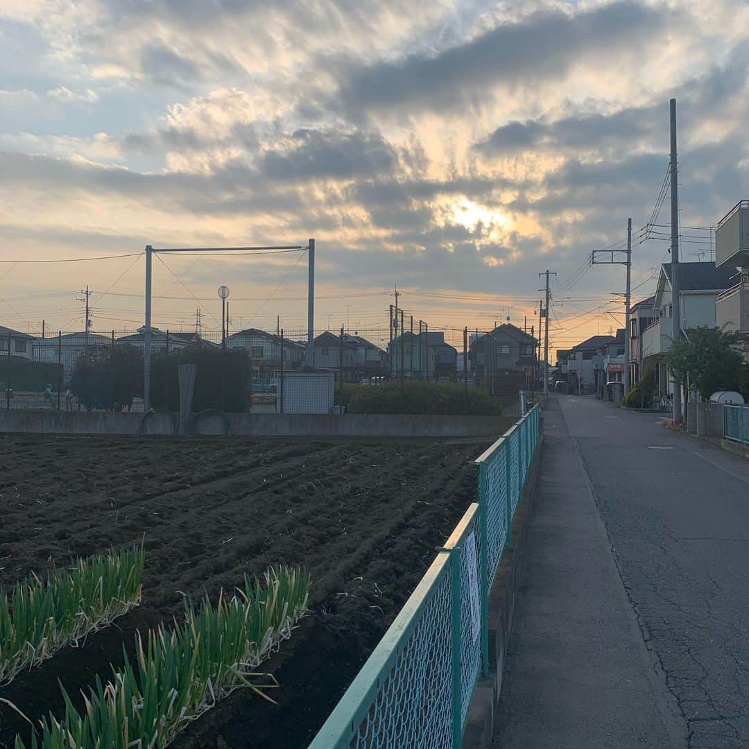 宙也さんのインスタグラム写真 - (宙也Instagram)「葱。西陽。夕雲。」1月14日 15時58分 - chuya_aquarius