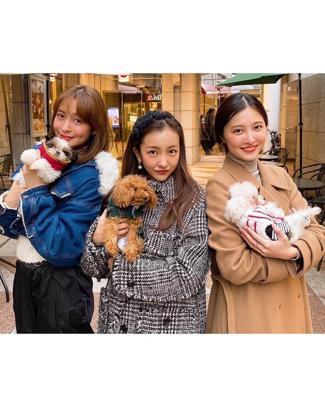 板野友美さんのインスタグラム写真 - (板野友美Instagram)「保護犬ちゃんに会いに行ってきました🐶  骨の形や大きさがペットショップの規定内 でないとペットショップに引き取ってもらえず 殺処分されてしまうみたいです。  私の抱っこしてる子は 首の骨が少し悪いのですが、 毎日懸命に生きてます。  命を大切にしてほしいです🐶  皆さんもご興味あったらぜひ！ @wanwanhogo へ  #保護犬」1月14日 16時10分 - tomo.i_0703