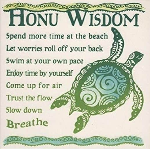 Lanikai Bath and Bodyさんのインスタグラム写真 - (Lanikai Bath and BodyInstagram)「Some sage advice from the honu 🐢 😘 #lanikaibathandbody #lanikaibathandbodyjapan #lanikai #kailuatownhi #kailua #lanikaibeach #natural #organic #honu」1月14日 16時18分 - lanikaibathandbody