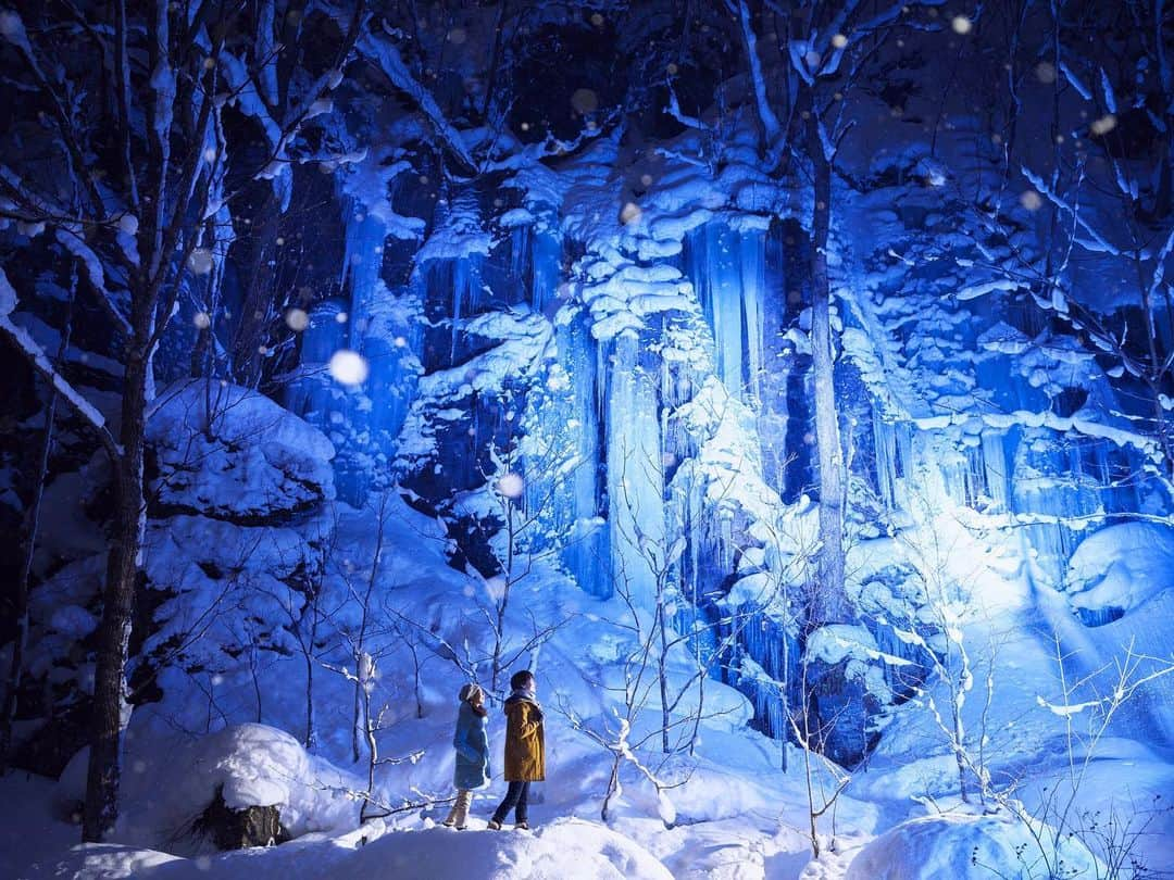 星野リゾートさんのインスタグラム写真 - (星野リゾートInstagram)「【冬の夜にしか現れない絶景「氷瀑ライトアップツアー」】﻿ ﻿ Appreciate the frozen waterfall in its full beauty during an extraordinary light-up night tour at Hoshino Resorts Oirase Keiryu Hotel.﻿ ﻿ 「氷瀑」をご存知でしょうか。氷瀑とは、滝や湧き水が凍ったもののこと。奥入瀬渓流は、氷瀑ができるのに最適な環境が整っており、雪や氷の状態で景観が変わるため、一期一会の氷の芸術を楽しめます。﻿ ﻿ 星野リゾートでは、十和田市と協力し、ライトアップツアーを実施します。当ツアーでは、自然に与える影響を最小限にするため、照明機材を車両に乗せ、シャトルバスが通ったときのみ、ライトアップを実施します。そのため、ツアー参加者のみが絶景を見ることができます。﻿ ﻿ 肉眼で見る景色と、スマートフォンやカメラで撮影した時の景色の違いが小さくなるよう、ライトの照度を調整しています。冬の思い出を、写真に残してみてはいかがでしょうか。﻿ ﻿ #HoshinoResorts #星野リゾー #奥入瀬渓流ホテル #OiraseKeiryuHotel #Aomori #Towada #Oirase #青森県 #十和田市 #奥入瀬渓流 #Aomori #氷瀑 #2大モンスター #青森旅行 #aomoritrip #luxuryresort #JapaneseHotels #Hotspring #Onsen #travelJapan #ig_Japan #MyTinyAtlas #JapanTravel」1月14日 16時30分 - hoshinoresorts.official