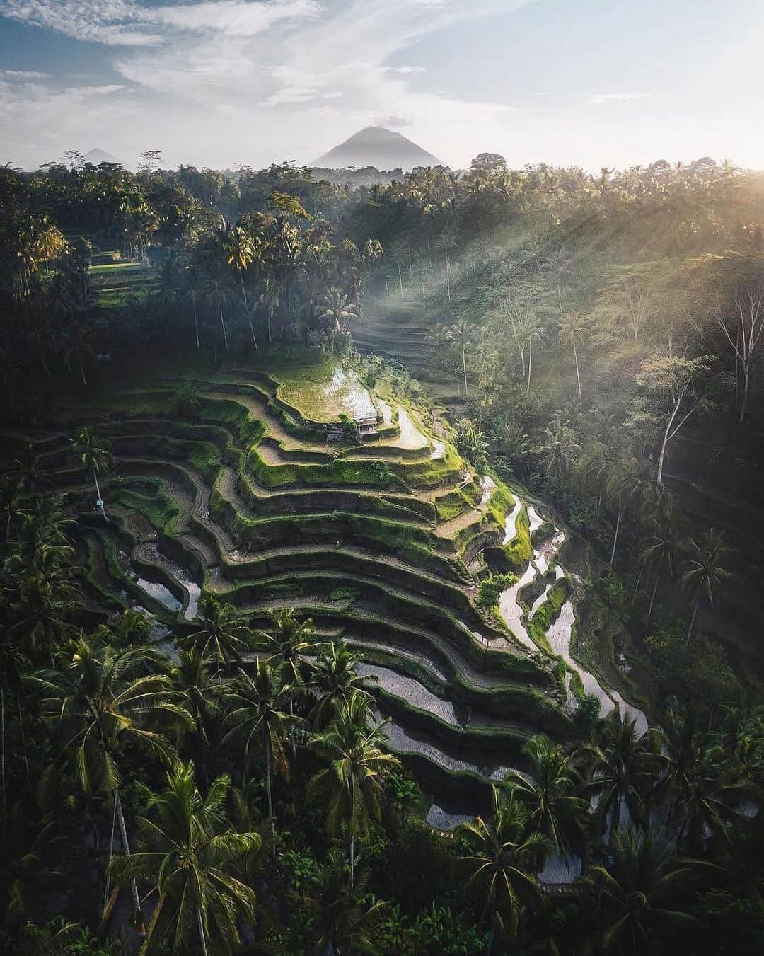 Earth Picsさんのインスタグラム写真 - (Earth PicsInstagram)「The beautiful Rice terraces in Bali, Indonesia photo by @jordhammond」1月14日 16時49分 - earthpix