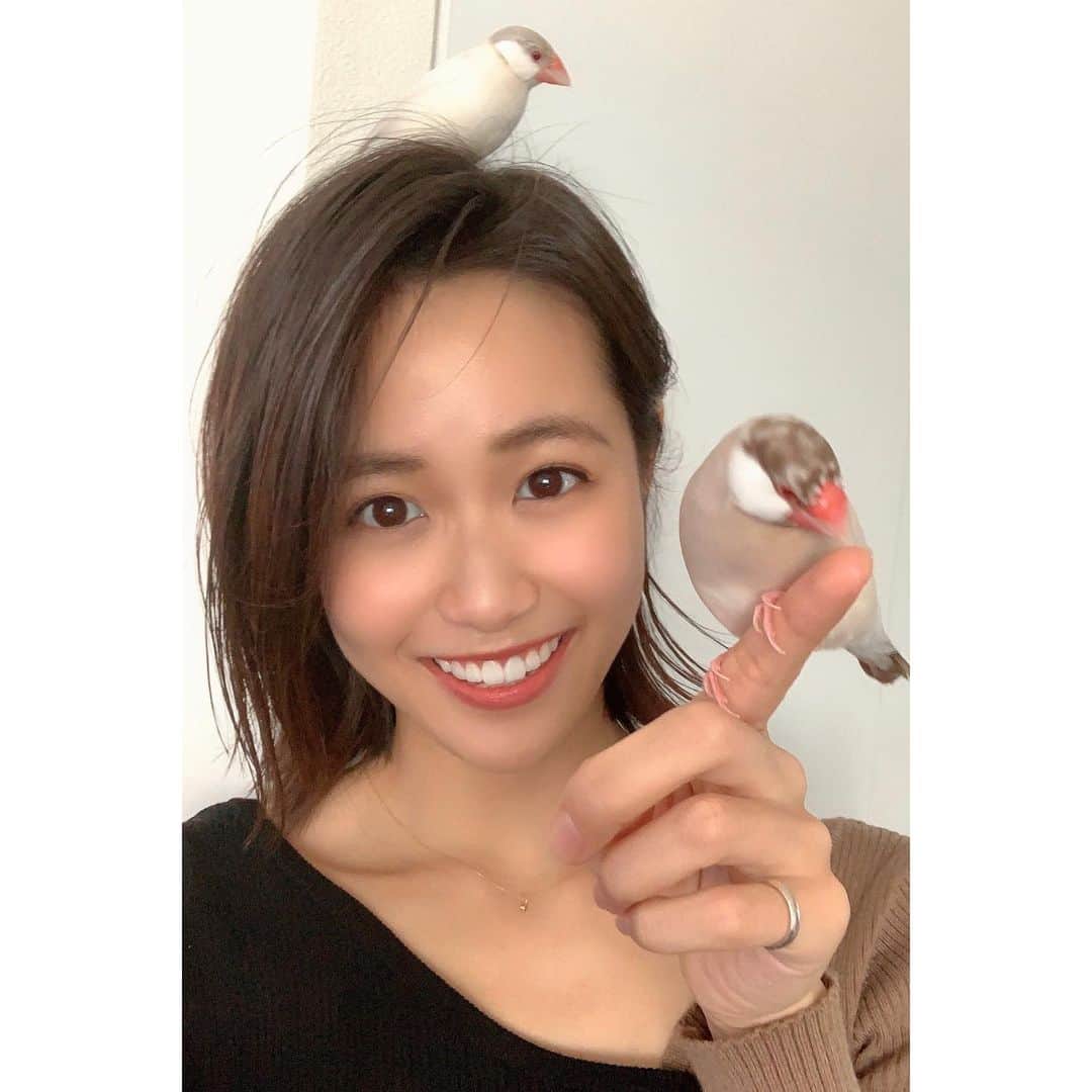 VANRIのインスタグラム