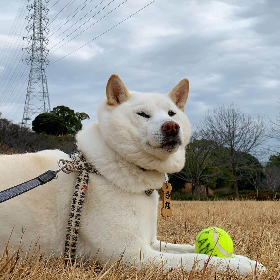 さなのインスタグラム