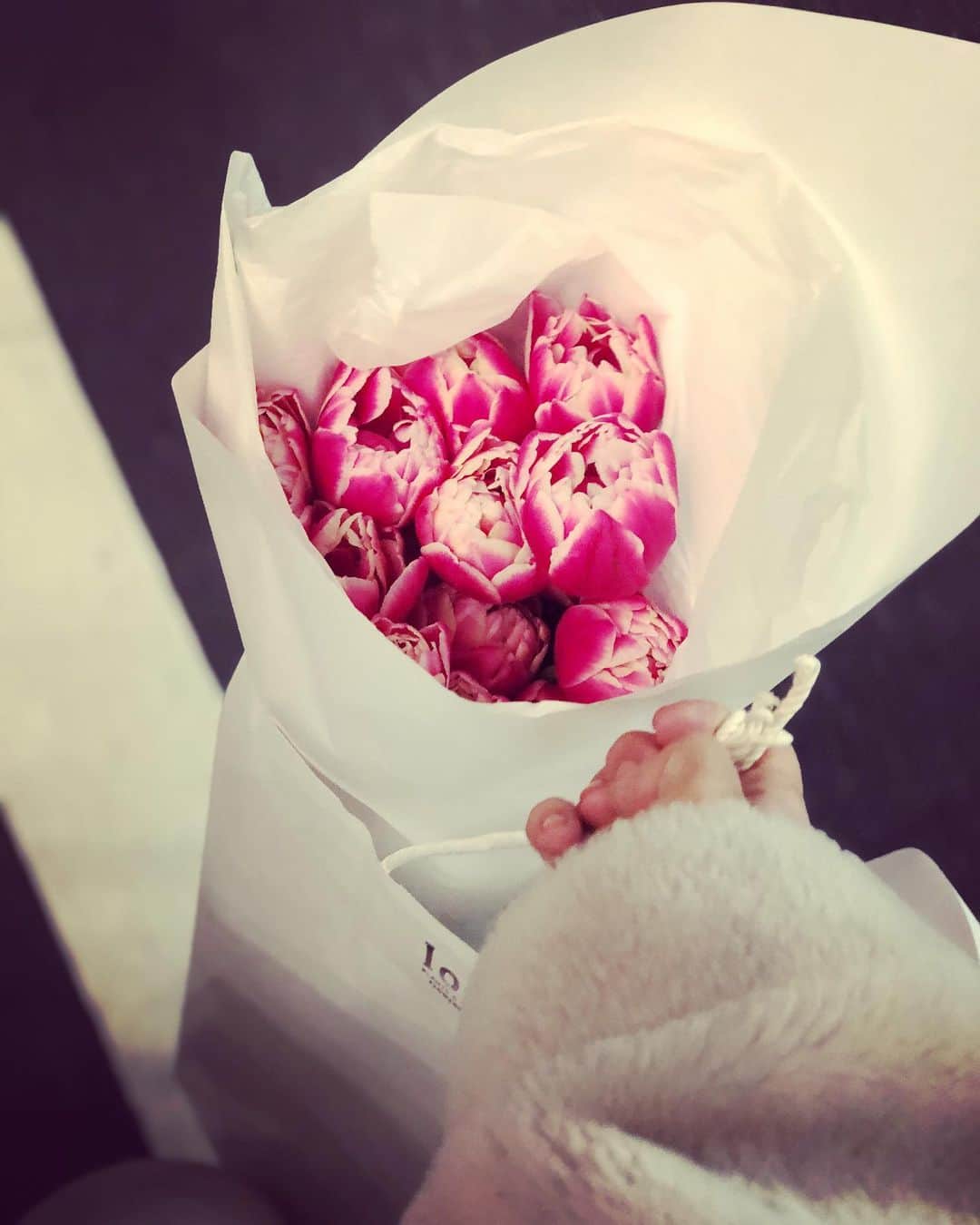 のインスタグラム：「今日もたくさん撮影をしました。 帰りに春を連れて帰ってきましたよ🌷 #logi」