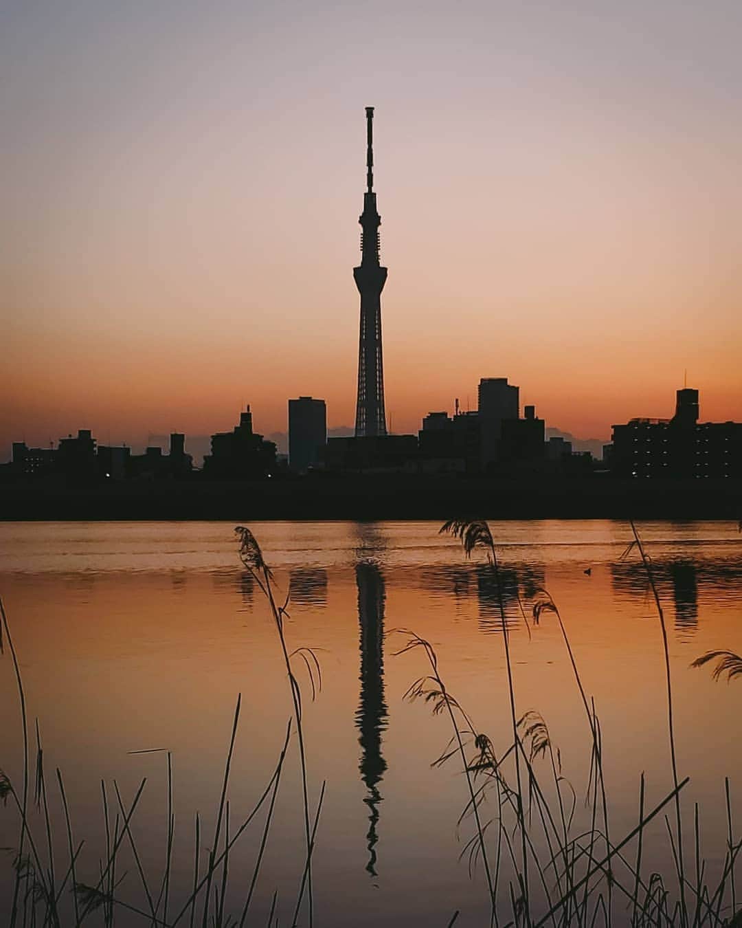 Takashi Yasuiさんのインスタグラム写真 - (Takashi YasuiInstagram)「荒川の夕暮れ #GalaxyNote10Plus #Ambassador シルエットにするため、プロモードでアンダーになるよう撮影しました📱」1月14日 20時29分 - _tuck4