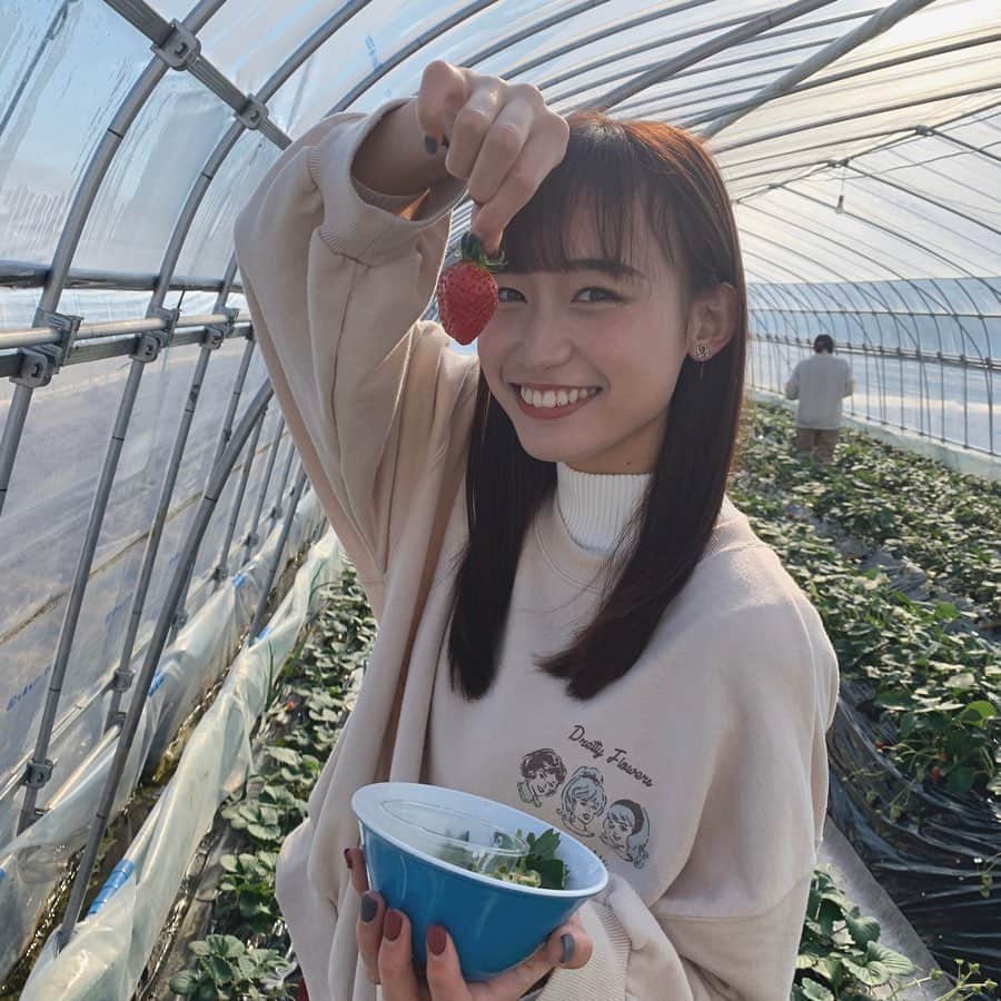 鈴木えりかさんのインスタグラム写真 - (鈴木えりかInstagram)「. はじめてのいちご狩り🍓 . . . . #いちご狩り #練乳たっぷり #🍓 #苺 #歯に苺ついてる #笑」1月14日 20時42分 - eripuu0713