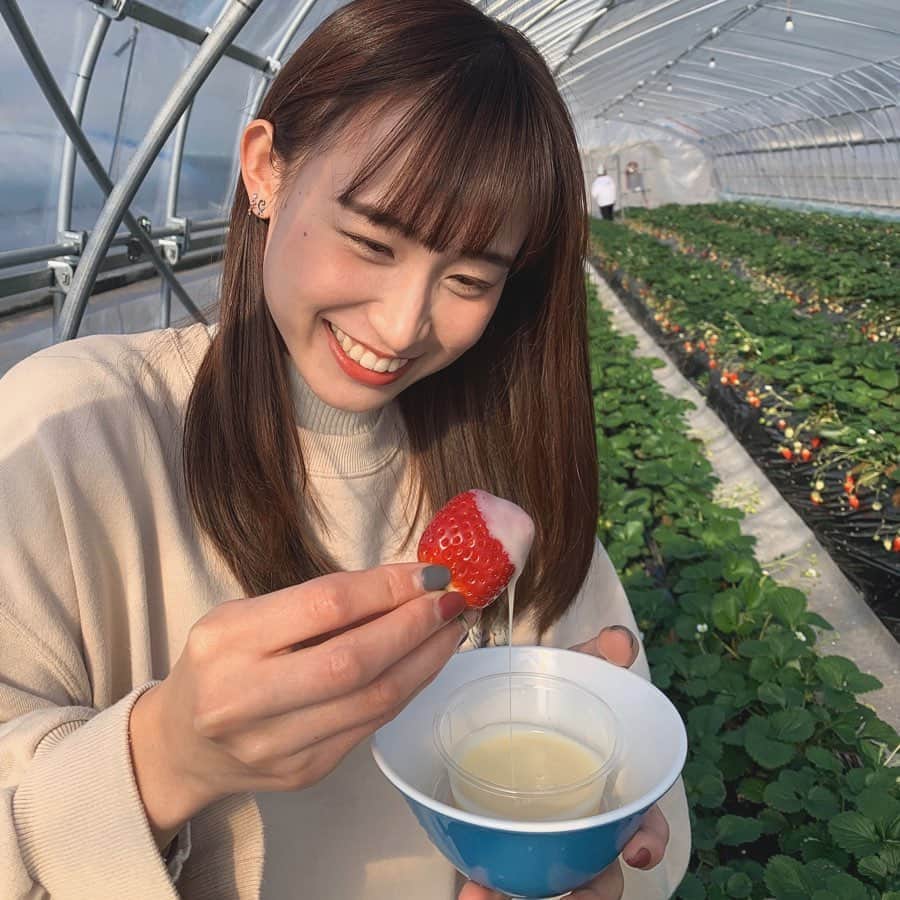 鈴木えりかのインスタグラム：「. はじめてのいちご狩り🍓 . . . . #いちご狩り #練乳たっぷり #🍓 #苺 #歯に苺ついてる #笑」