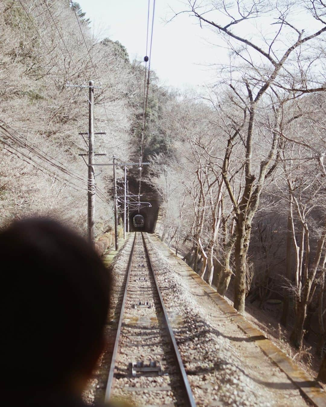 喜田彩子さんのインスタグラム写真 - (喜田彩子Instagram)「﻿ ﻿ 息子が乗りたかった 高尾山鉄道 高尾山ケーブル﻿ ﻿ 1927年に開業し、現在の車両は2008年から使われている4代目！﻿ 緑と赤の2台が走っており、それぞれ『あおば』『もみじ』という愛称が先代から引き継がれているそうです🍁﻿ ﻿ ケーブルカーの線路では日本一の急勾配だけあって、踏ん張らないと転がりそう🚃﻿ ﻿ きっと...いや、確実に！紅葉の季節はすんごい人なんだろうけど、高尾山ケーブルから見える “鮮やかな紅葉と線路” の景色を撮りに行きたいなぁ🛤✨﻿ #カメラ小僧﻿ ﻿ ﻿ ﻿ @tamahatsu_official ﻿ #多摩の魅力発信プロジェクト﻿ #高尾山 #たま発 #高尾山登山 #高尾山山頂 #高尾山頂 #高尾山ケーブル #登山 #高尾山グルメ #高尾山薬王院 #高尾山そば #高尾山だんご #takaosan #家族 #休日 #お出かけ#tamahatsu #PR #SL #holiday #family﻿ ﻿」1月14日 21時30分 - ayacokida