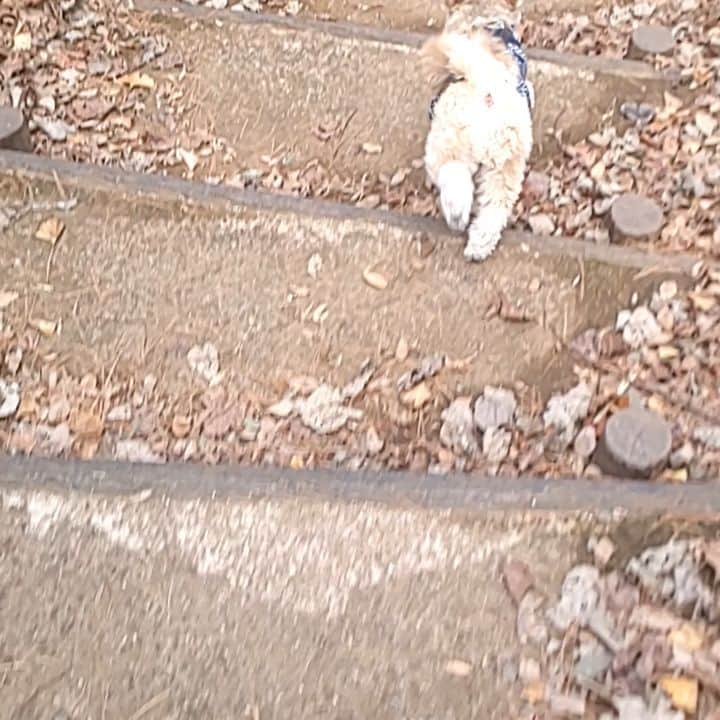 タンゲクンのインスタグラム：「お尻くんは今日も元気にしてます。  #旬太郎くん #自由研究  #shitzulover」