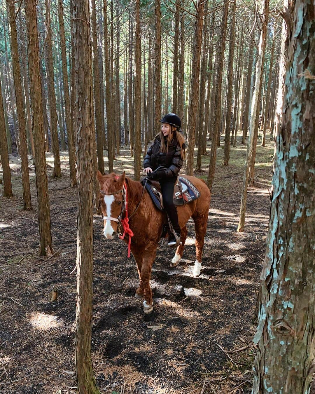 山崎みどりのインスタグラム