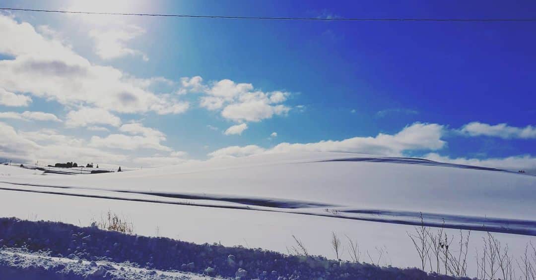 西真理子さんのインスタグラム写真 - (西真理子Instagram)「❄Snow scene❄  雪は誰もが美しさと清々しさを感じられる。そして子供心を蘇らせるね✨  Memories of snow scene.  #snow #japan #hokkaido #bieihokkaido #bilke #snowscene #campingcar #雪景色 #北海道 #美瑛 #富良野 #青の池 #道の駅 #旅」1月14日 22時34分 - mari.nishi.7