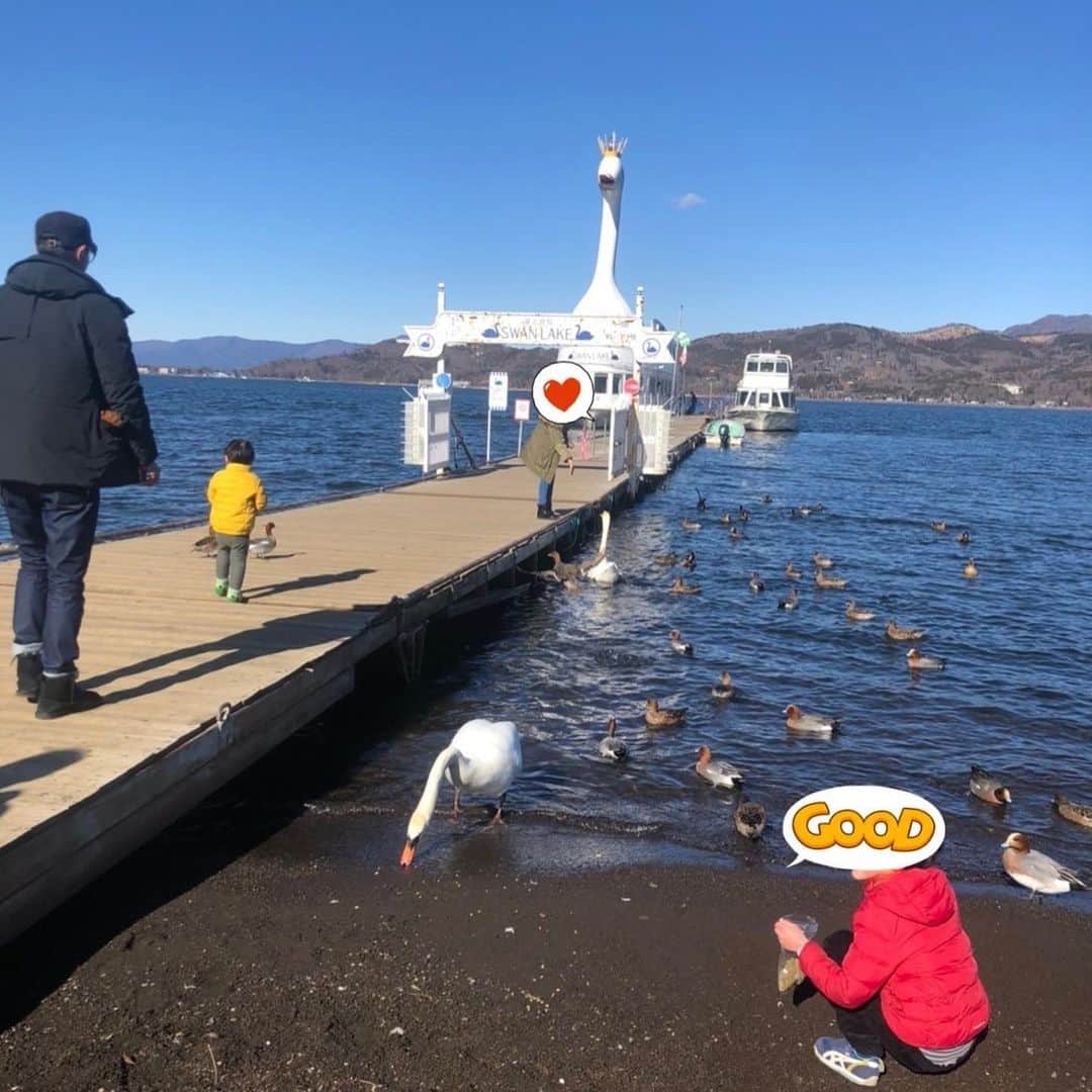 前川泰之さんのインスタグラム写真 - (前川泰之Instagram)「白鳥達に餌をあげたり、野生の鹿に出逢ったりしてきたよ^_^  #白鳥　#鹿」1月14日 22時41分 - maekawa_yasuyuki_official