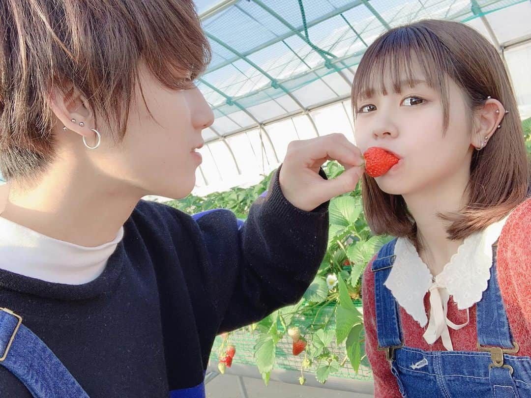 はやめいさんのインスタグラム写真 - (はやめいInstagram)「あ〜ん ！ 🍓」1月14日 22時53分 - haya.mei