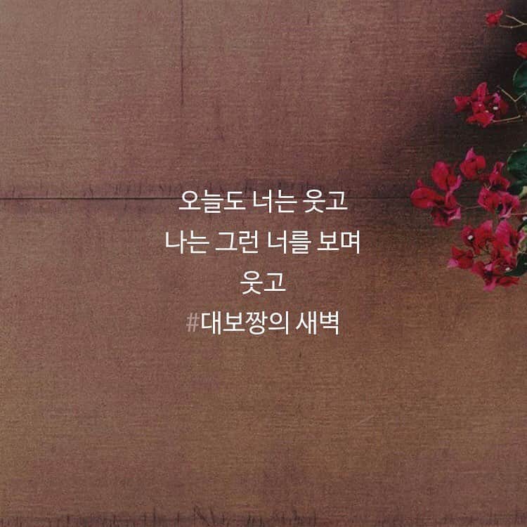 デボちゃんのグルメインスタ