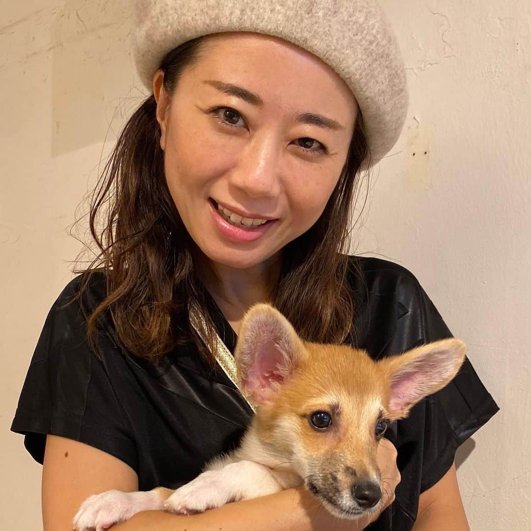 レイチェル・チャンさんのインスタグラム写真 - (レイチェル・チャンInstagram)「My puppy is growing up so fast! こんなに小さかったのに…2カ月でだいぶ大きくなりました。 #corgi #corgipuppy #basharthecorgi #コーギー　#成長したな #子犬　#成長記録」1月14日 22時55分 - rachelchanjpn