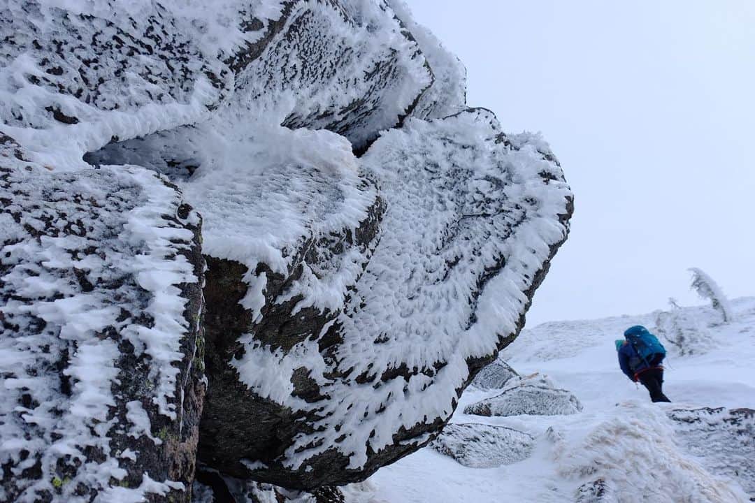野口健さんのインスタグラム写真 - (野口健Instagram)「雪山を登っていると心が浄化されていくような。思いっきり深呼吸すると淀んだ気が体内から吐き出されていく。だから、寒さのなか、あえて雪山に向かうのかもしれない。  #野口健#野口絵子#野口健親子登山#富士フィルムxt2」1月14日 23時16分 - noguchiken8848