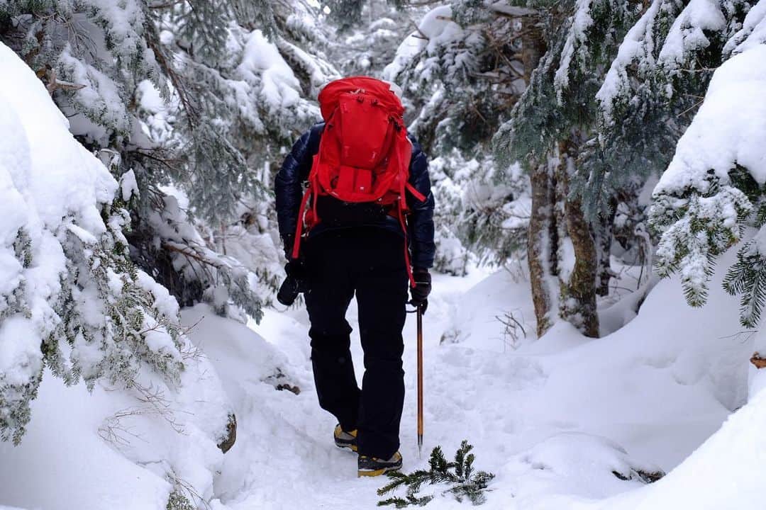 野口健さんのインスタグラム写真 - (野口健Instagram)「雪山を登っていると心が浄化されていくような。思いっきり深呼吸すると淀んだ気が体内から吐き出されていく。だから、寒さのなか、あえて雪山に向かうのかもしれない。  #野口健#野口絵子#野口健親子登山#富士フィルムxt2」1月14日 23時16分 - noguchiken8848