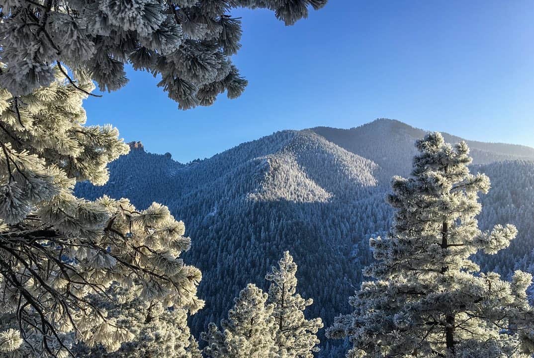 National Geographic Travelさんのインスタグラム写真 - (National Geographic TravelInstagram)「Photos by @bethjwald | A coat of frost and snow turns the foothills above Boulder, Colorado, into a winter fairyland. On Flagstaff Mountain, Boulder Mountain Parks, Colorado #coloradowinter #publiclands #boulderopenspace」1月15日 4時45分 - natgeotravel