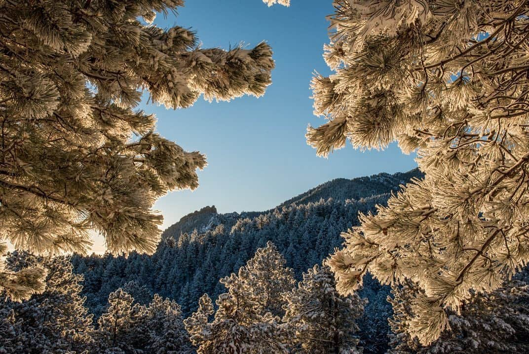 National Geographic Travelさんのインスタグラム写真 - (National Geographic TravelInstagram)「Photos by @bethjwald | A coat of frost and snow turns the foothills above Boulder, Colorado, into a winter fairyland. On Flagstaff Mountain, Boulder Mountain Parks, Colorado #coloradowinter #publiclands #boulderopenspace」1月15日 4時45分 - natgeotravel