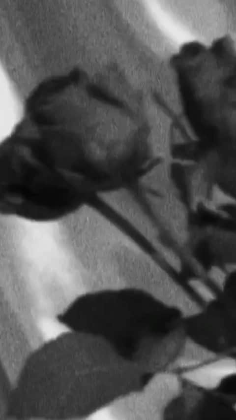 ティファニー・キャデラックのインスタグラム：「. 🌹 Enjoy my mini reel🍿. 🎼 Barbara Mason Yes, I’m Ready 🎥 @i___.d」
