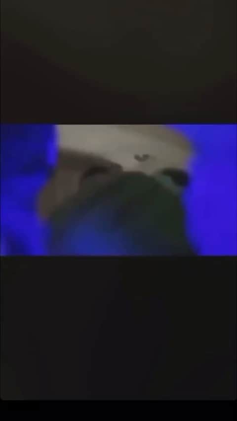 ゲームのインスタグラム：「🤣🤣🤣🤣」
