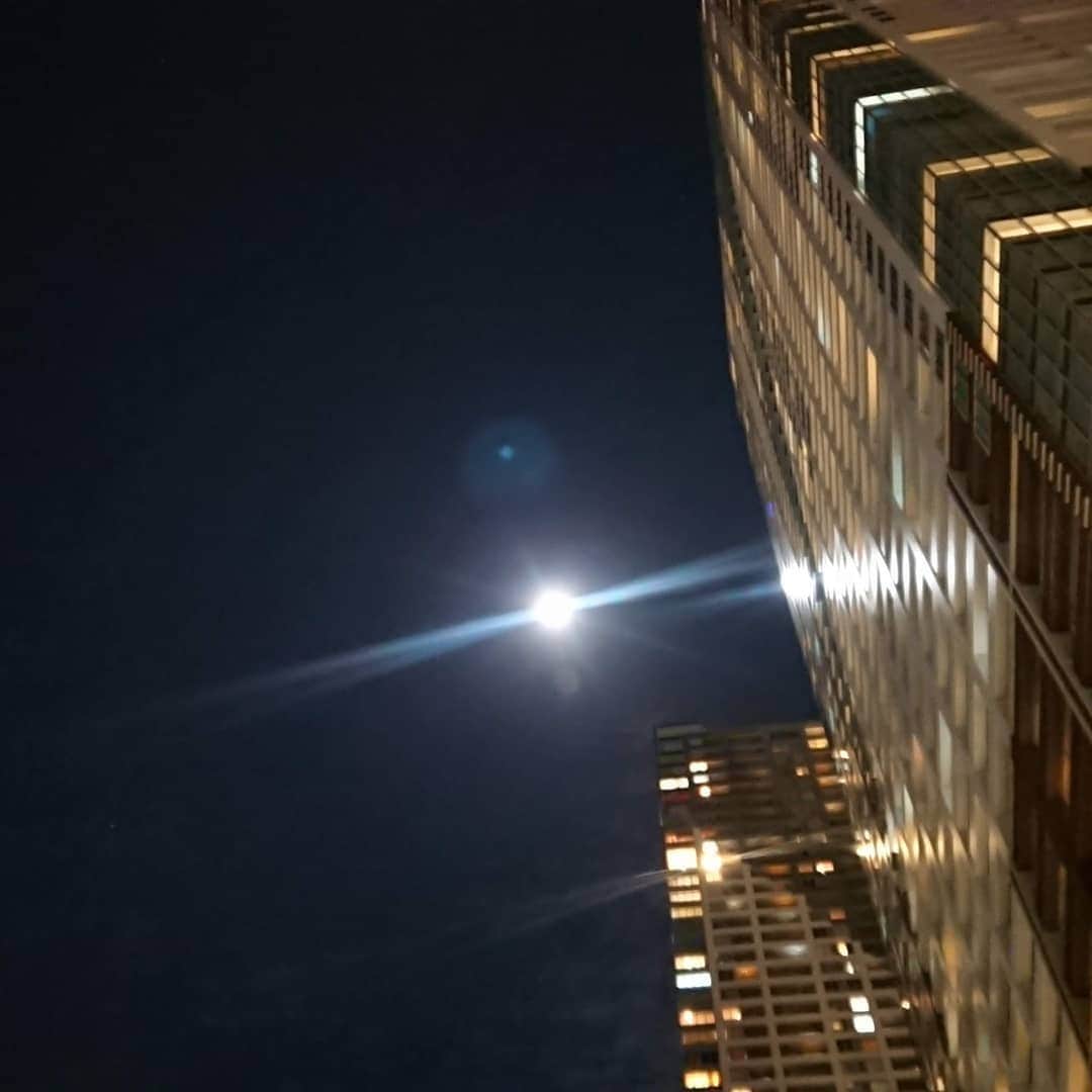 松坂南さんのインスタグラム写真 - (松坂南Instagram)「都会の月はきれいなんだけど、建物に圧されて若干窮屈そう💦」1月15日 0時29分 - minami_matsuzaka