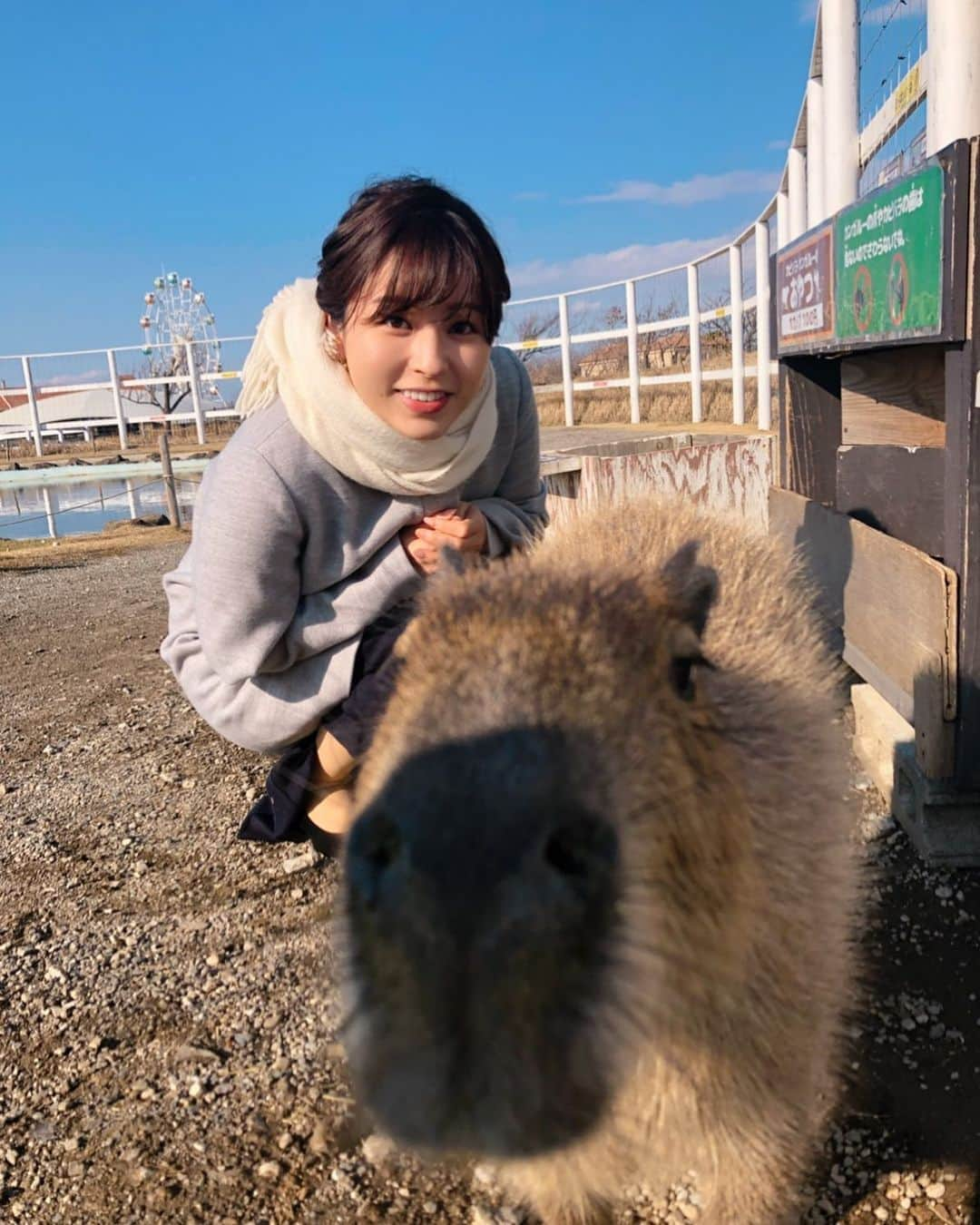 角谷暁子さんのインスタグラム写真 - (角谷暁子Instagram)「今日はよじごじ中継です！ こんなかわいい子がいるある場所から中継します。 15:40から放送です🌼  #よじごじdays」1月15日 14時03分 - kadoya_akiko