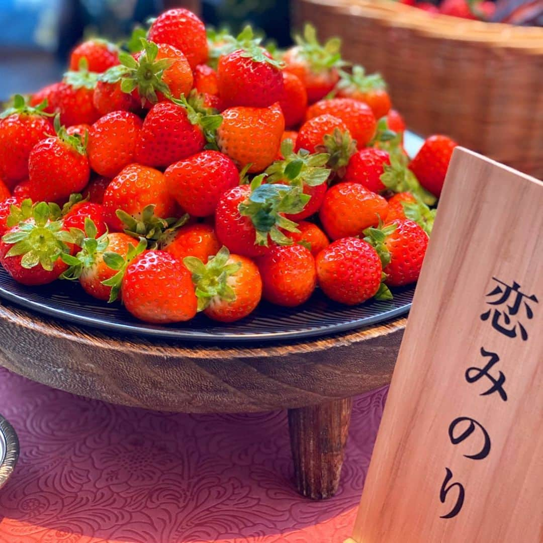 梅谷安里さんのインスタグラム写真 - (梅谷安里Instagram)「今年も大好きなイチゴの季節がきた😋🍓 嬉しすぎる！！！ 毎年この時期はイチゴブッフェを巡っちゃう♡ まずはみんなで帝国ホテル大阪の苺ビュッフェに行ってきたよ🍓 可愛すぎるみっくんが美味しそうにたくさん苺食べてて幸せな気分なった🥰♥️ #strawberry#buffet  #帝国ホテル#帝国ホテル大阪 #スイーツビュッフェ#ホテル #hotel#いちご#🍓」1月15日 12時51分 - anriworld