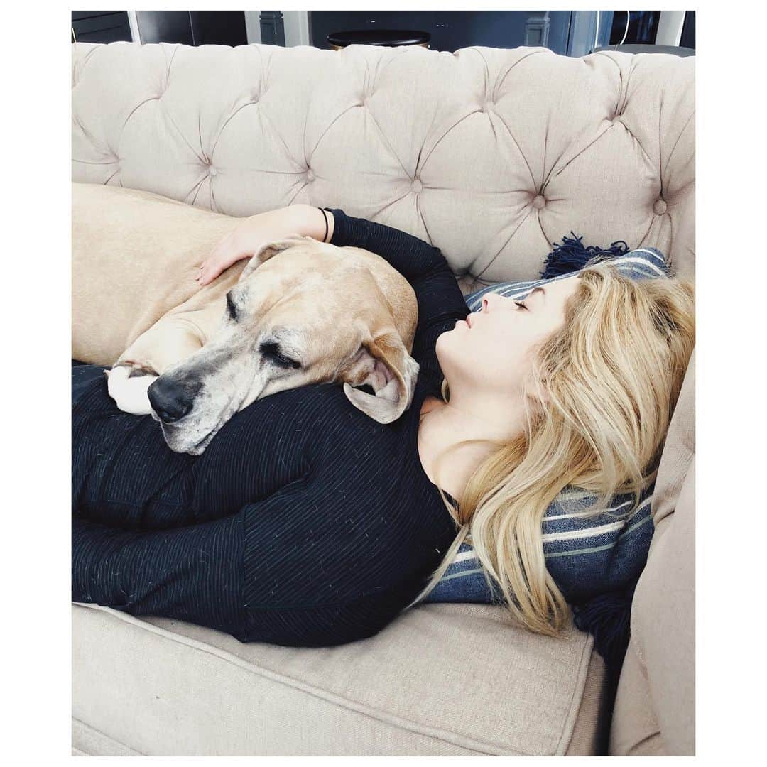 サーシャ・ピーターズのインスタグラム：「Throwing it back on a Tuesday. 🥰#greatdanemom #ladyandlevi #greatdanemoments now you know why nap time is my favorite. Photo creds @hudsonsheaffer 😘」