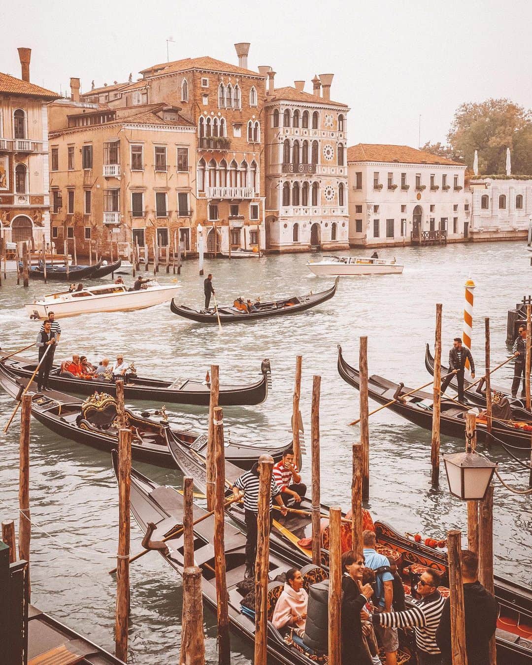 リズ・チェルカソワのインスタグラム：「I’d rather be in Venice... Instead I’ve got too much grad school reading and not enough discipline 🤦🏼‍♀️」