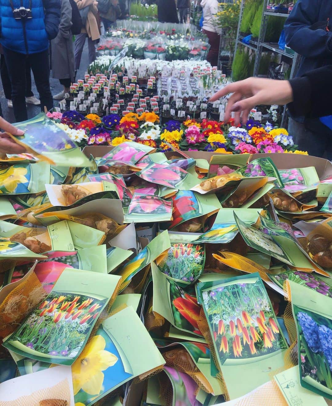 芽朗さんのインスタグラム写真 - (芽朗Instagram)「ロンドンで日曜日の朝だけ開催されているColumbia Road Flower Marketへ。 もう、最っっ高に楽しかった。 marketの近くの道を通ると、すでにお花の良い匂いが街に漂っていて🌷近くに住んでいたら必ず毎週通うのにっ。  奇跡的に裏側に住んでた　@pe_la_chan にも会えて嬉しかった🥺❤️ #mellowfukushimatrip  #flower#mellowfukushima  #columbiaroadflowermarket #dsfloral」1月15日 6時41分 - mellowfukushima