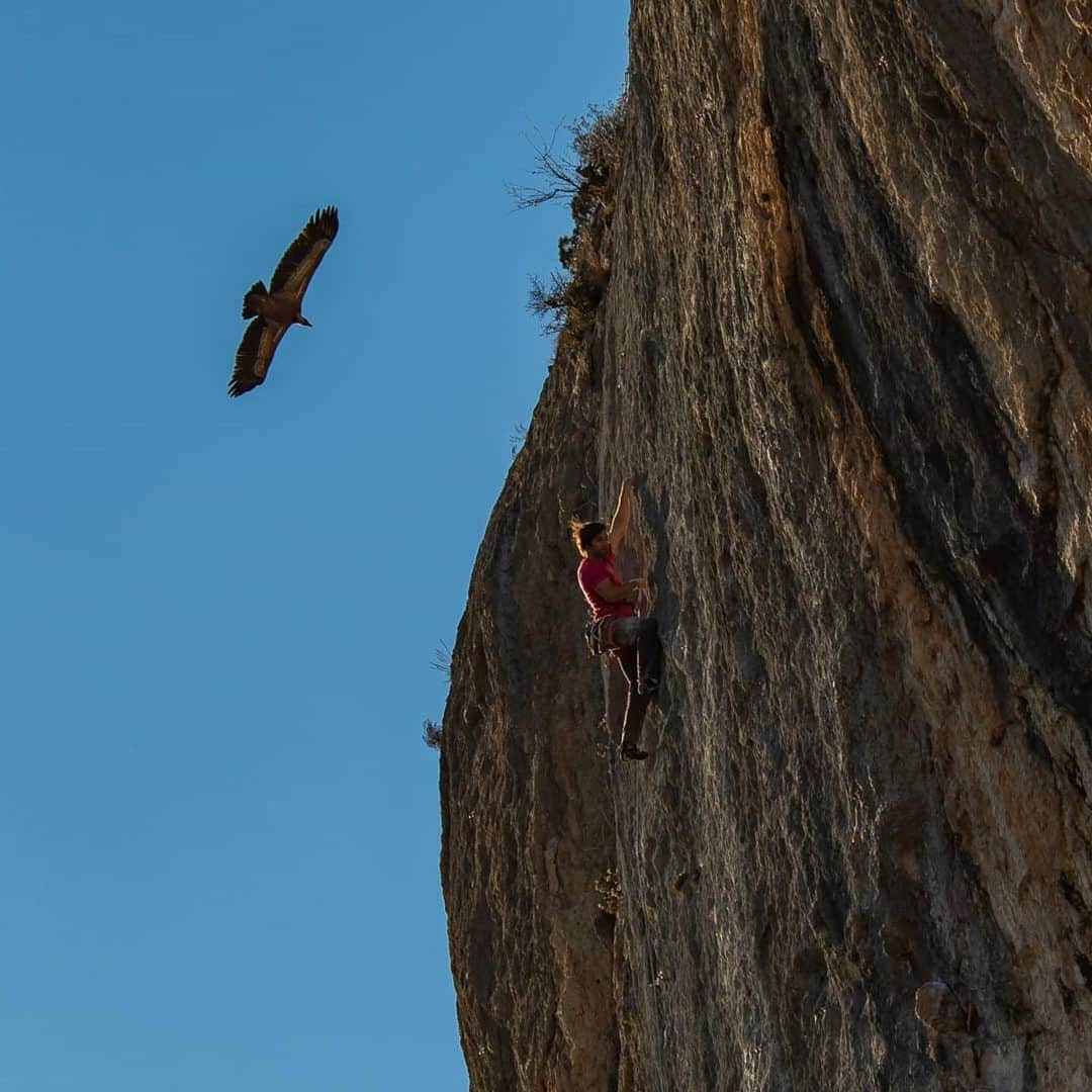 クリス・シャーマさんのインスタグラム写真 - (クリス・シャーマInstagram)「Flying high in Oliana today 📸 @tonimasbuchaca」1月15日 7時04分 - chris_sharma